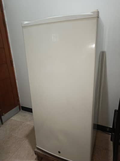Freezee imported  vertical deep freezer