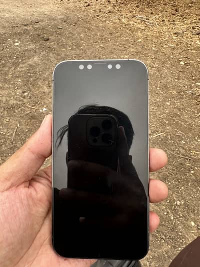 Apple iPhone 12 Pro