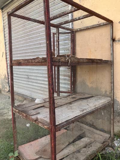 I am selling cage of Boiler chicken. price is 12000 .