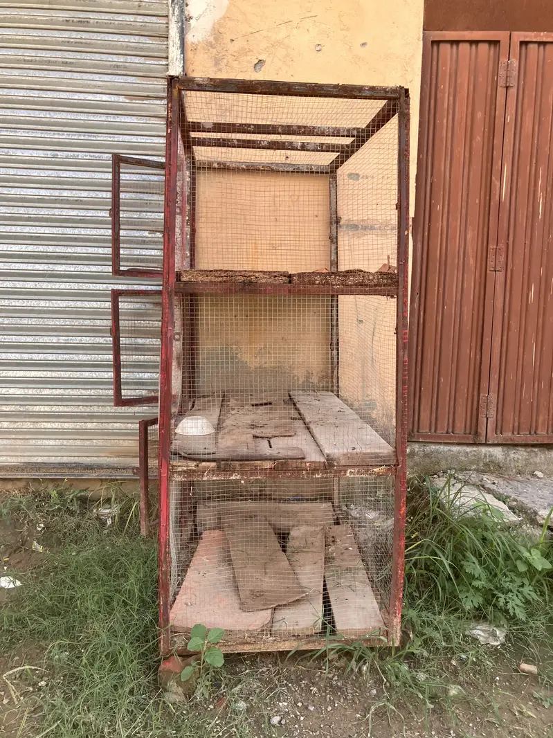 I am selling cage of Boiler chicken. price is 12000. — photo 2