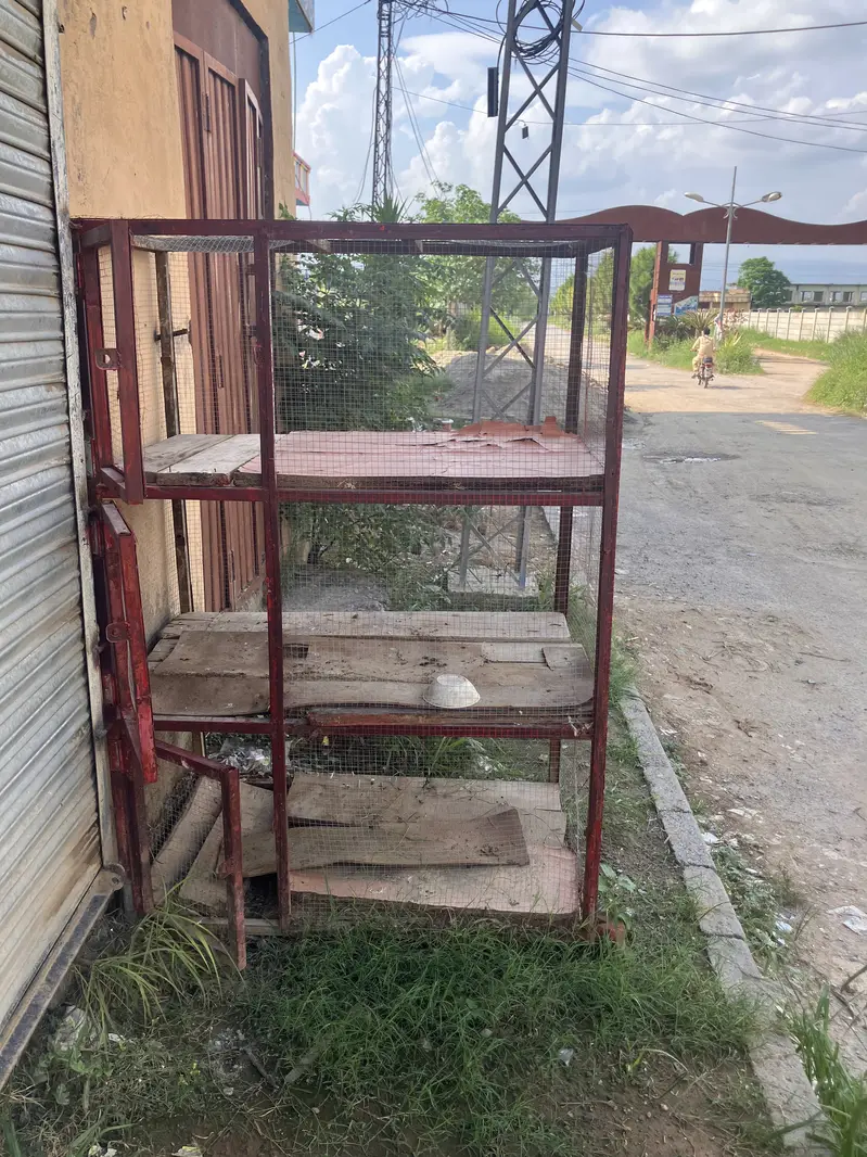 I am selling cage of Boiler chicken. price is 12000. — photo 3