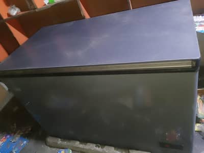 Haier FREEZER