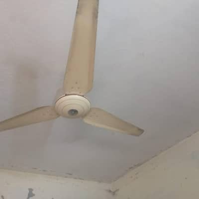 ceiling fan and pedestal fan