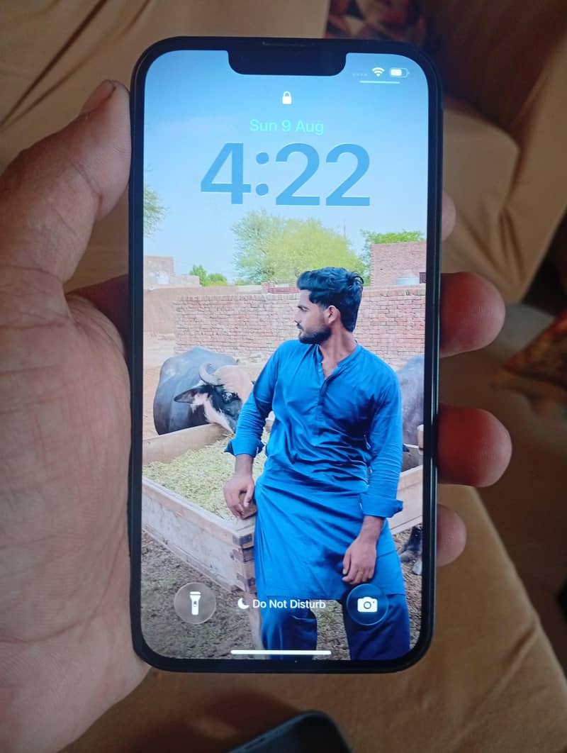 Apple iPhone 13 0