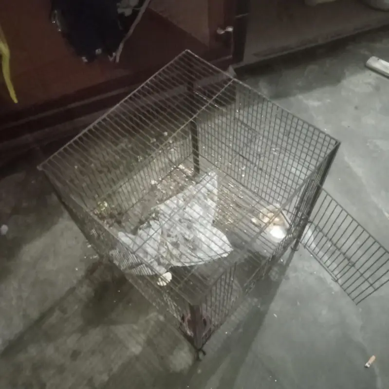 good conditions — photo 2