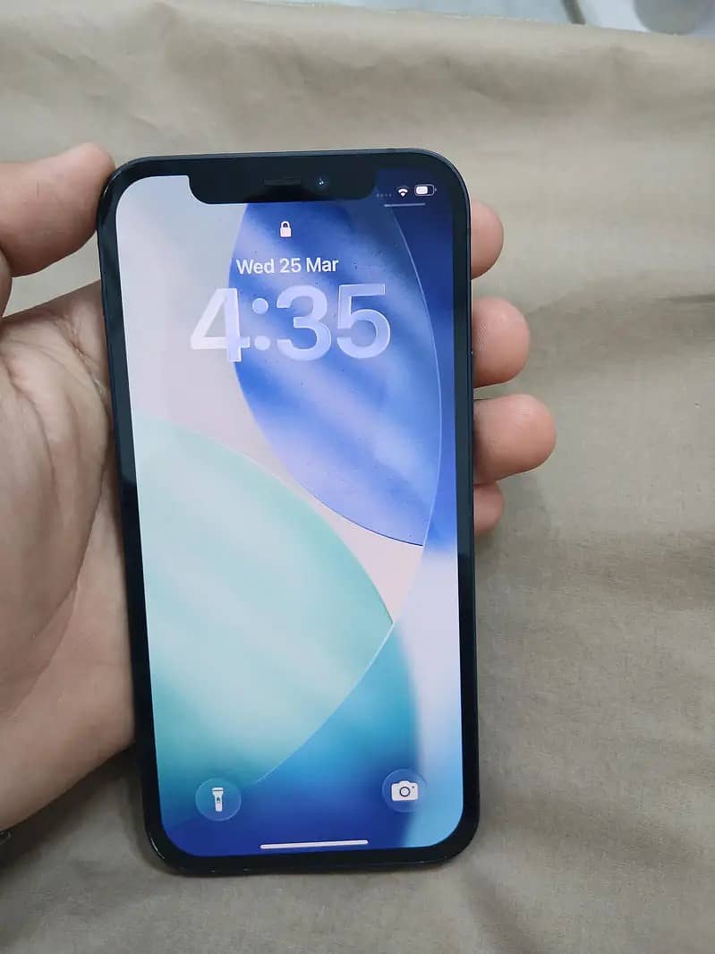 Apple iPhone 12 1