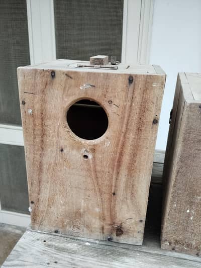 lovebirds keekar boxes