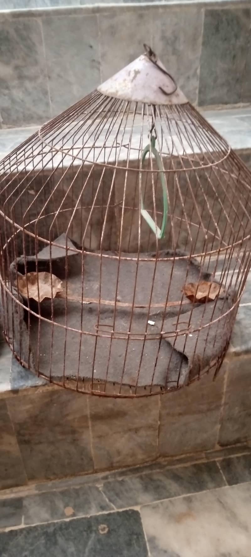 2 cages available 1
