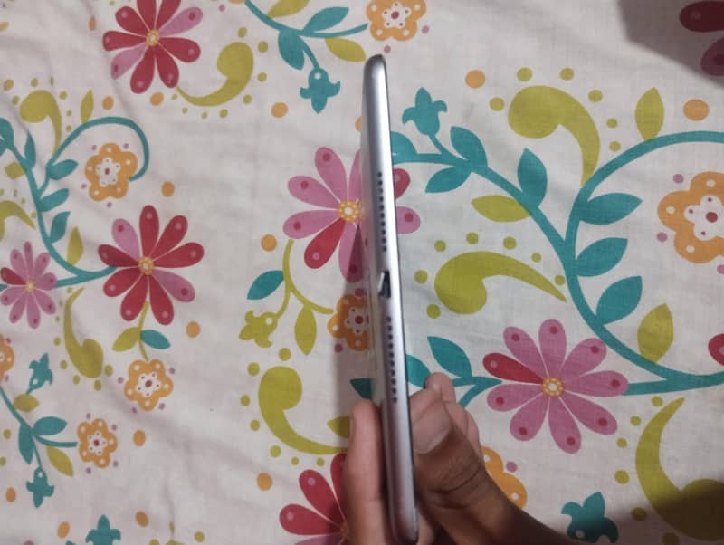 Ipad Mini 4 2
