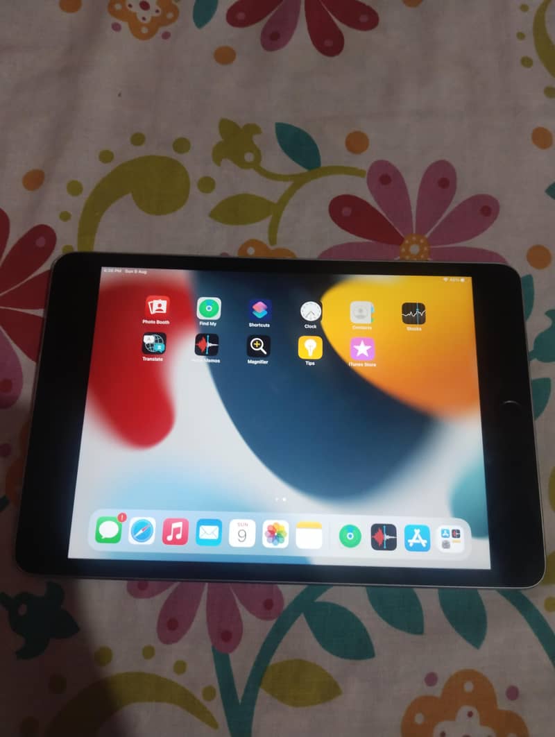Ipad Mini 4 6