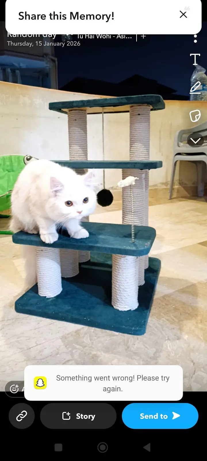 Selling cats scratcher stand/toy — photo 5