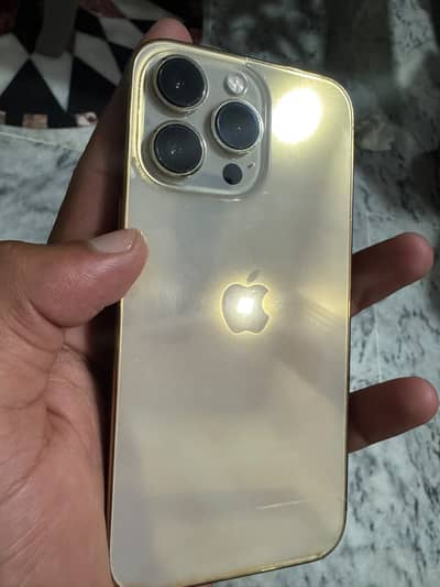 Apple iPhone 13 Pro