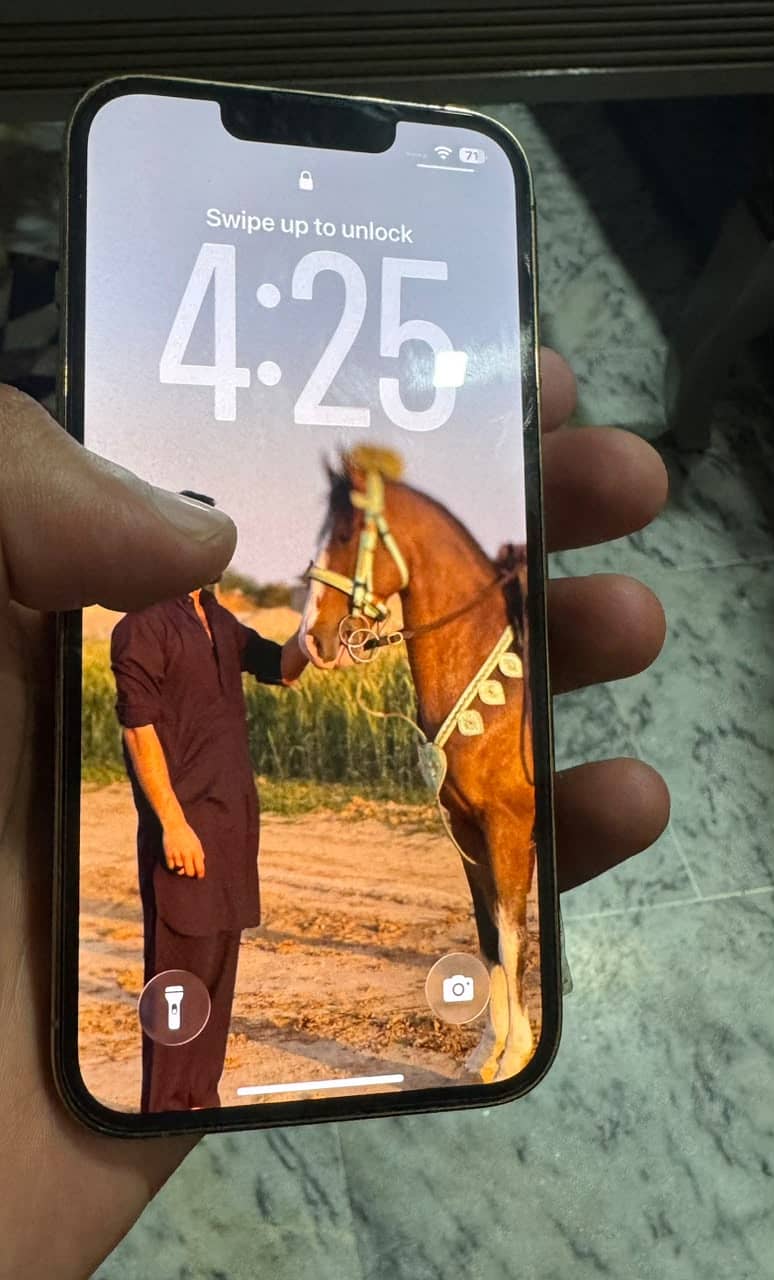 Apple iPhone 13 Pro 1