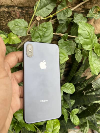 Apple iPhone X