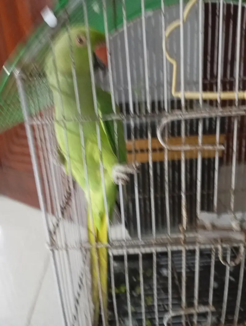 jisko chahie aur rabta Karen — photo 2