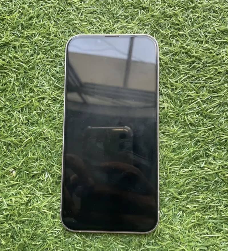 Apple iPhone 13 1