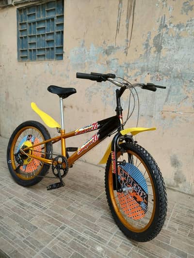 Shimano japanese bicycle size 20 All okay 03188264599