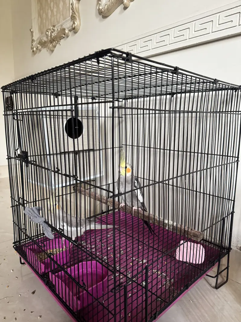 Breeder Cocktail — photo 2