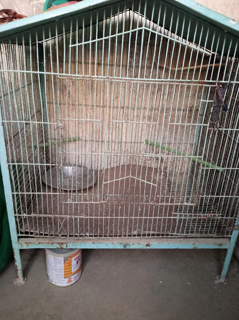 iron cage for sale