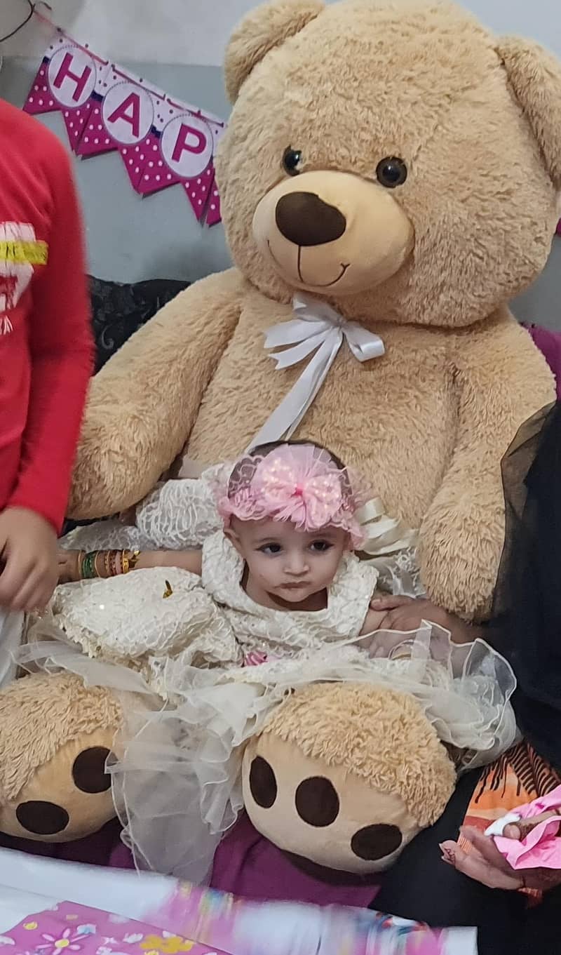 Big big Teddy   0