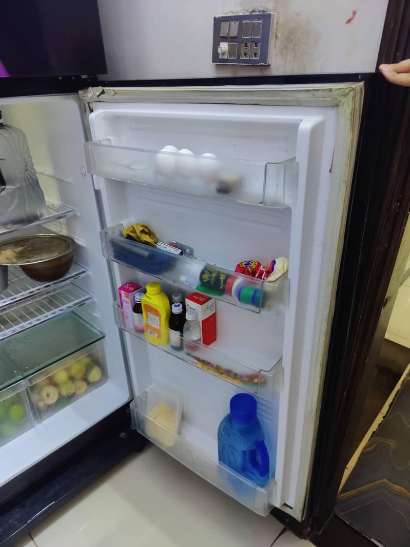 fridge 2