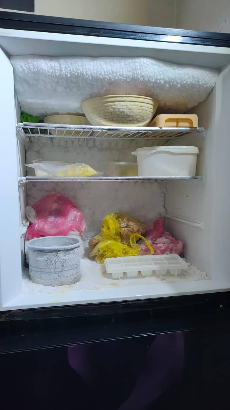 fridge 3