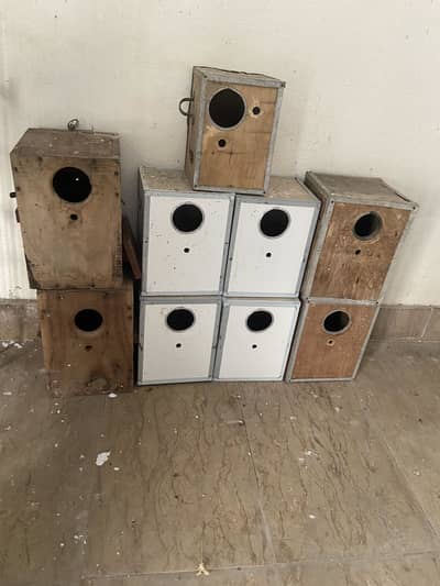 9 boxes