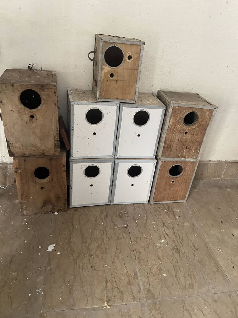 9 boxes 1
