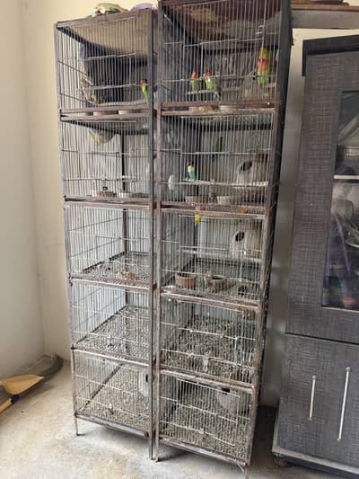 Parrot Cage