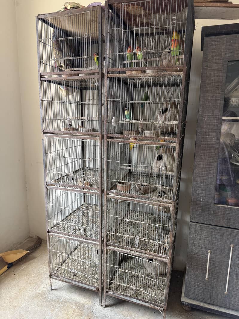 Parrot Cage 0
