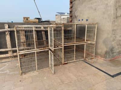 BIRD CAGE