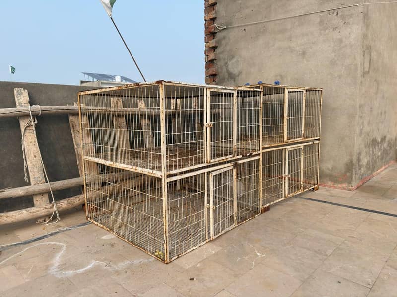 BIRD CAGE 1