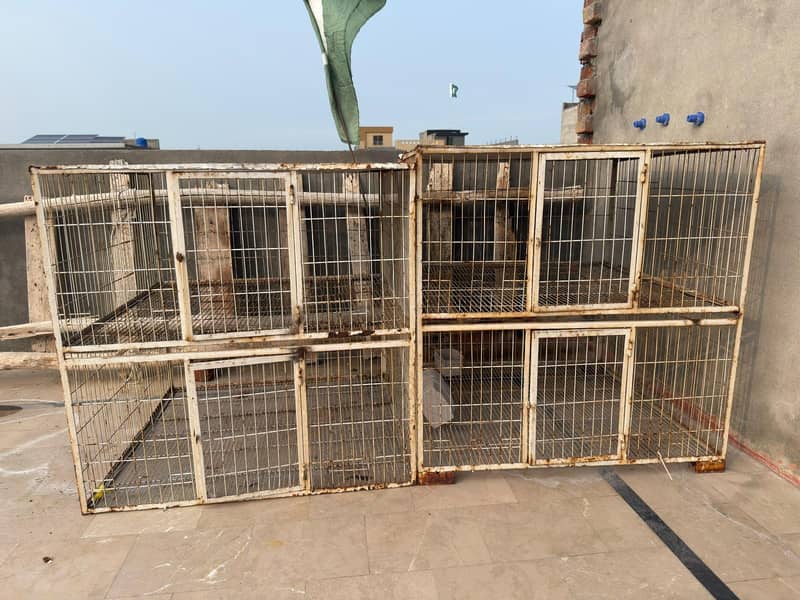 BIRD CAGE 2