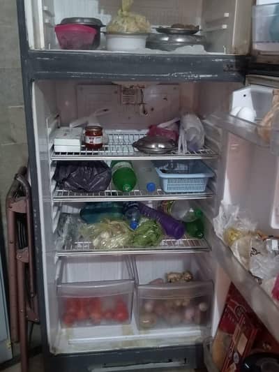 FREEZER AVAILABLE IN FRESH CONDITION. . .