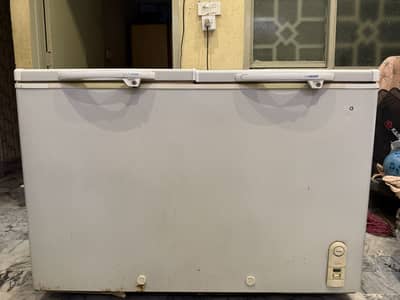 D Freezer 2 door hair