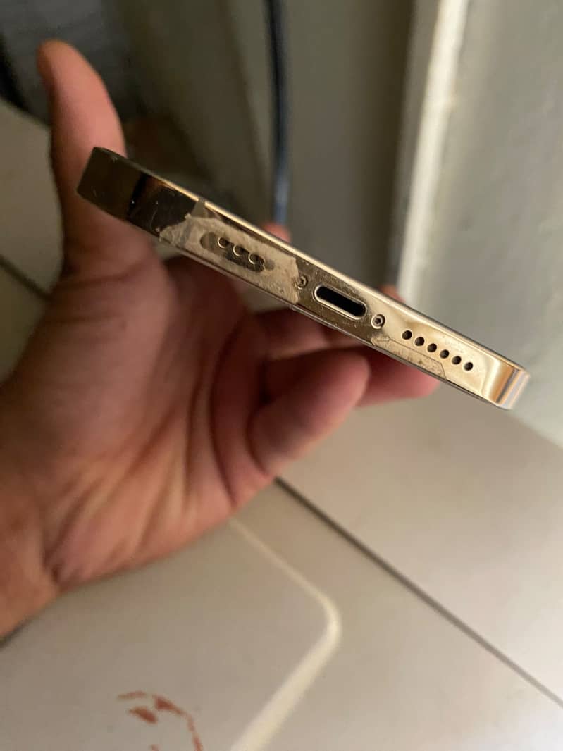 Apple iPhone 12 Pro Max 1