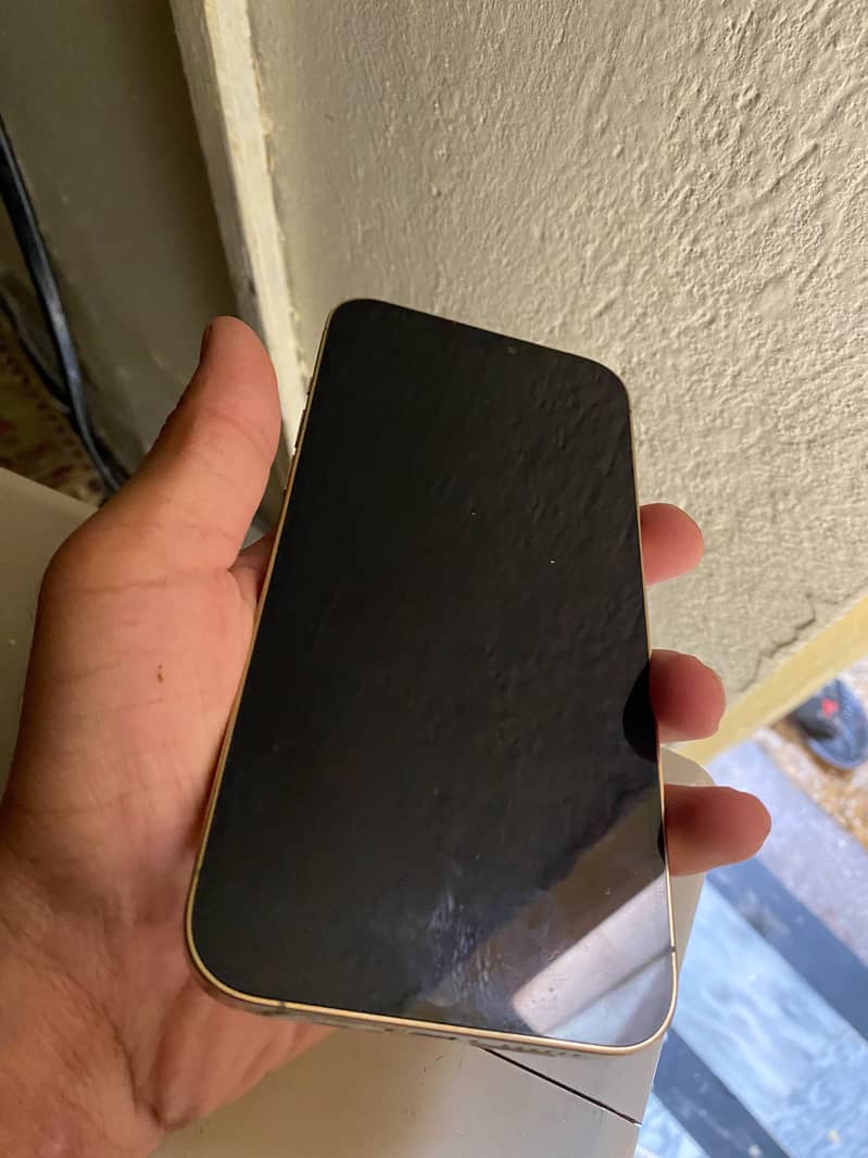 Apple iPhone 12 Pro Max 5