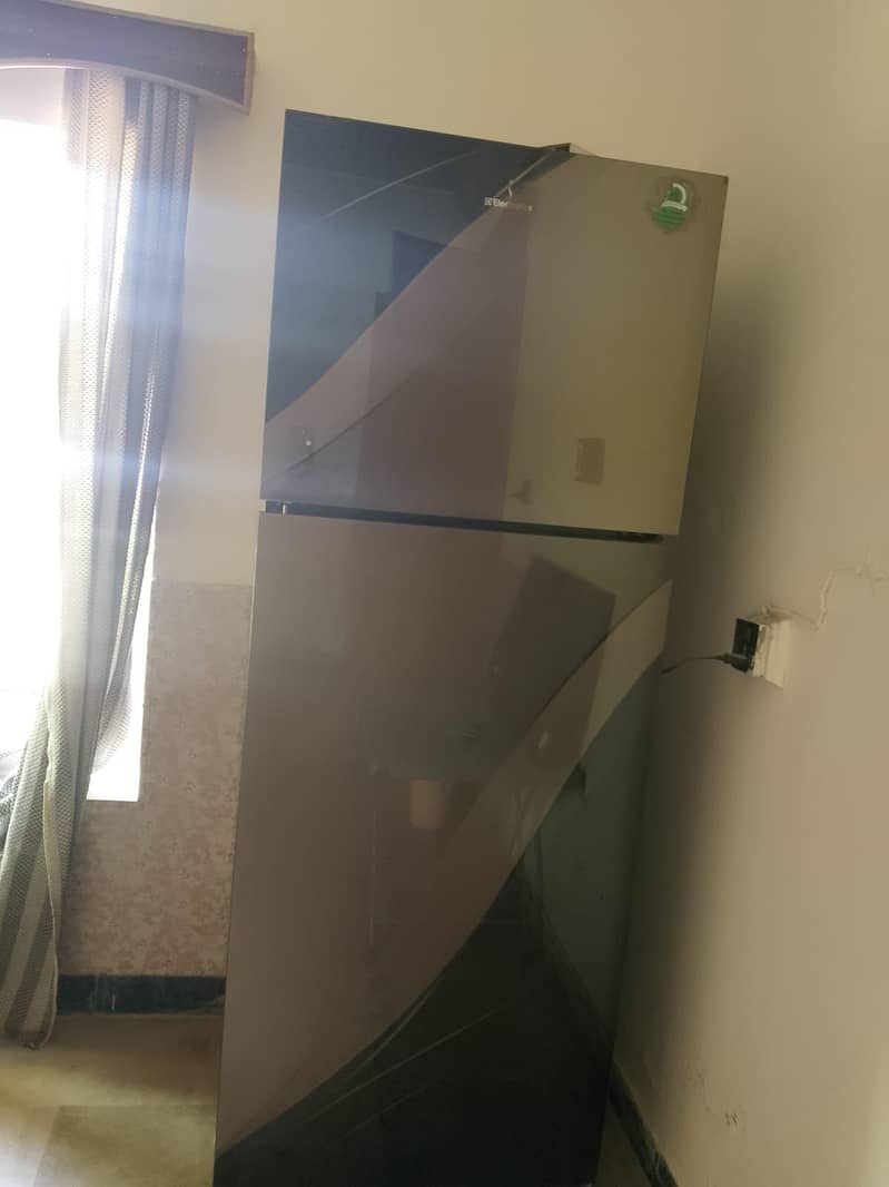 Electrolux fridge 2