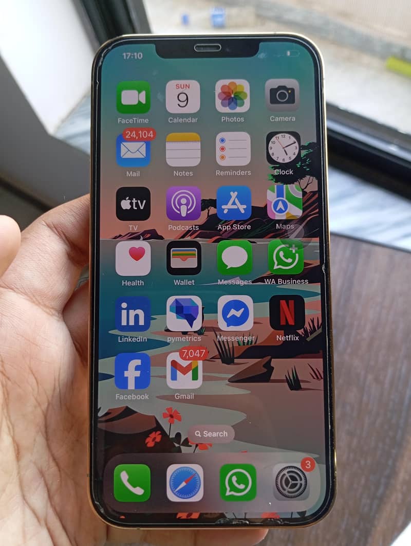 iPhone 12 pro max 2