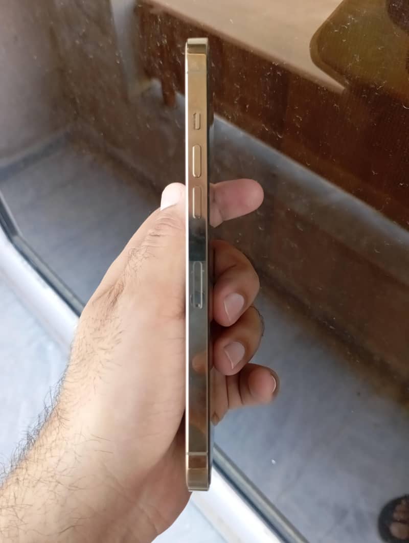 iPhone 12 pro max 5