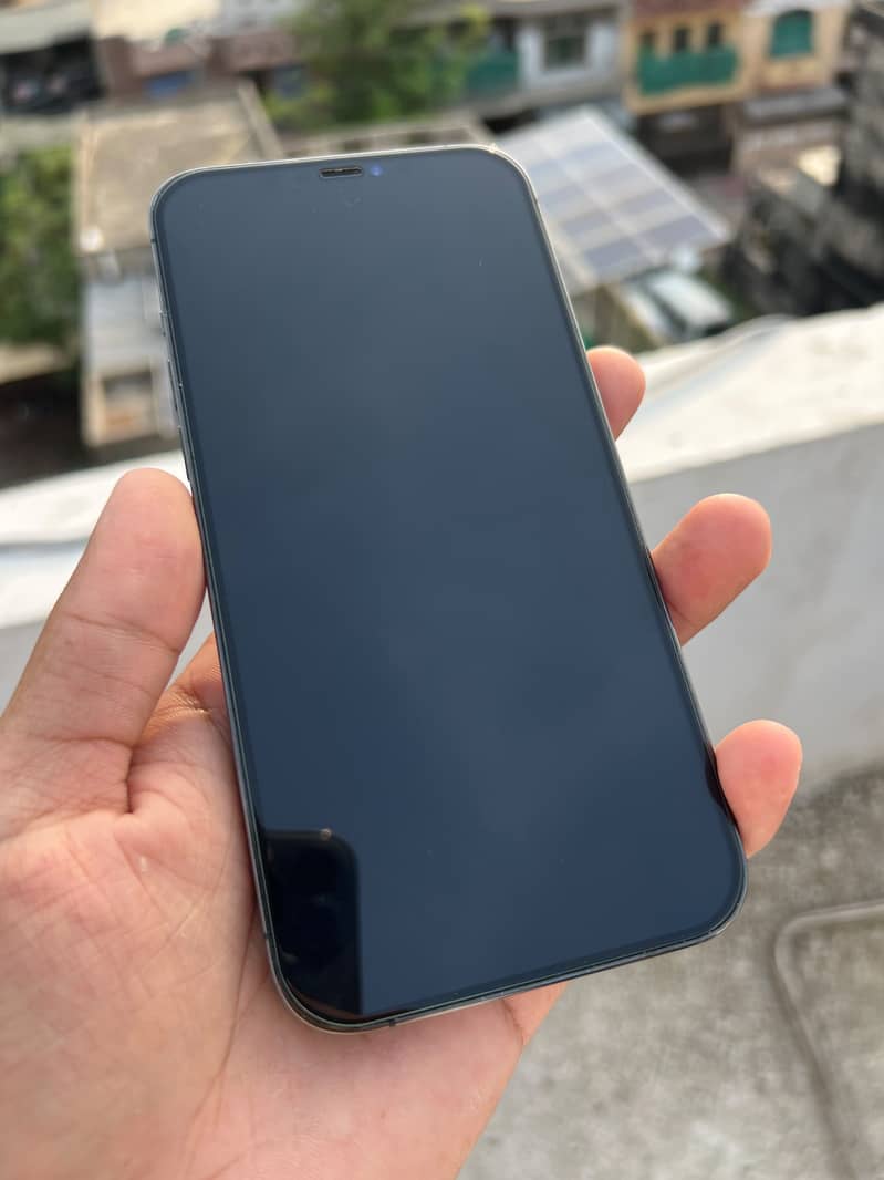 Apple iPhone 12 Pro Max 0