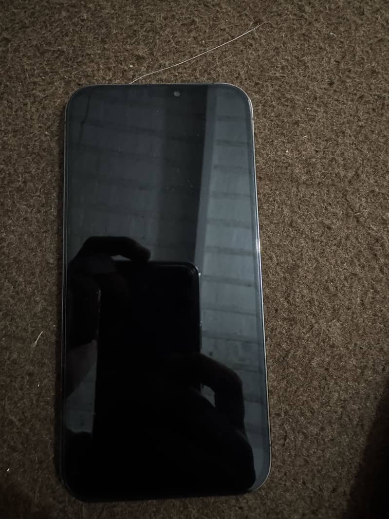 Apple iPhone 12 Pro Max 2