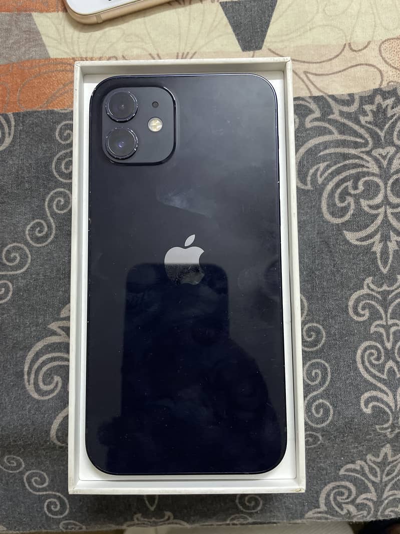 Apple iPhone 12 1