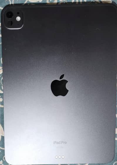 ipad pro(M4) / apple pencil pro original