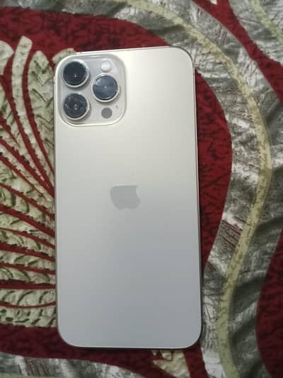 13 Pro Max | 256GB
