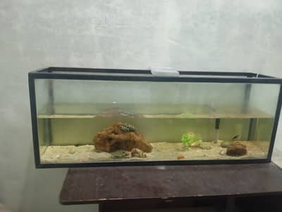 aquarium