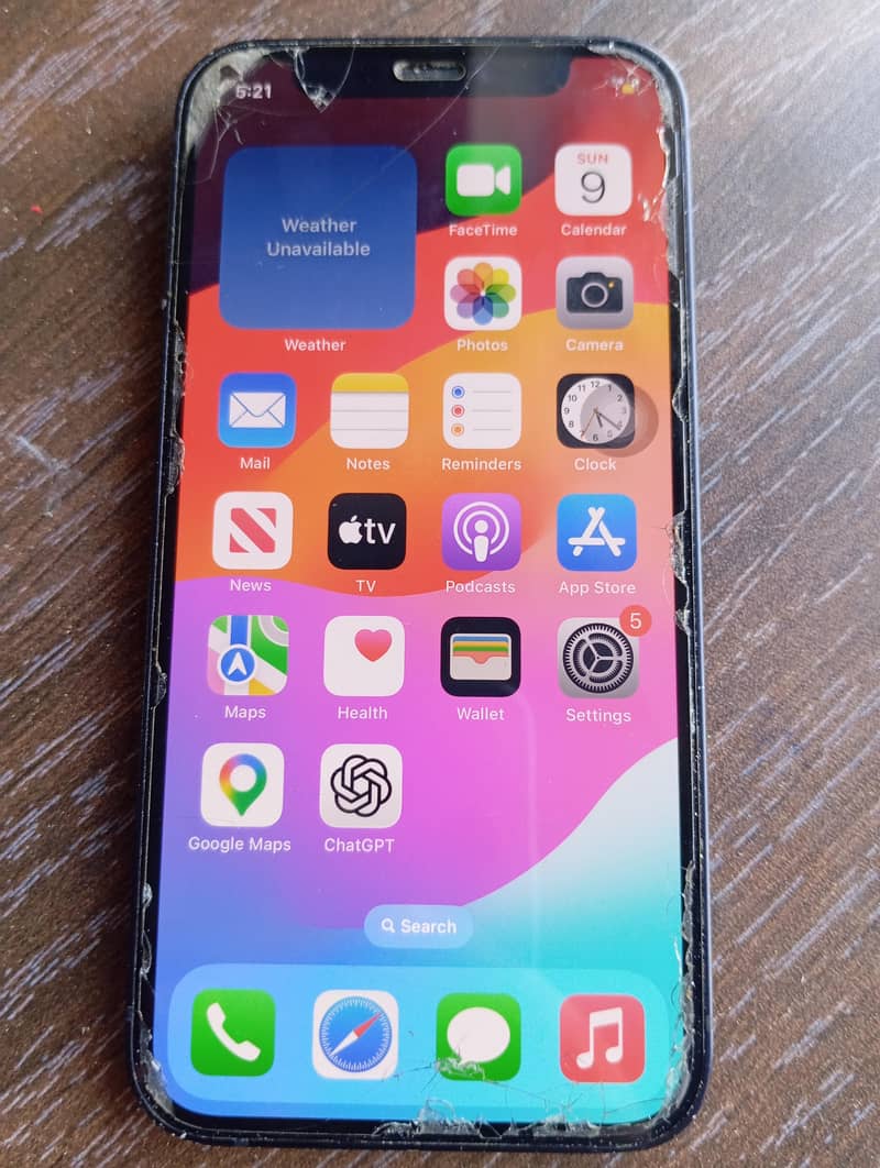 Apple iPhone 12 mini 1
