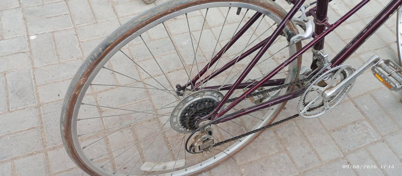 Nishiki 11