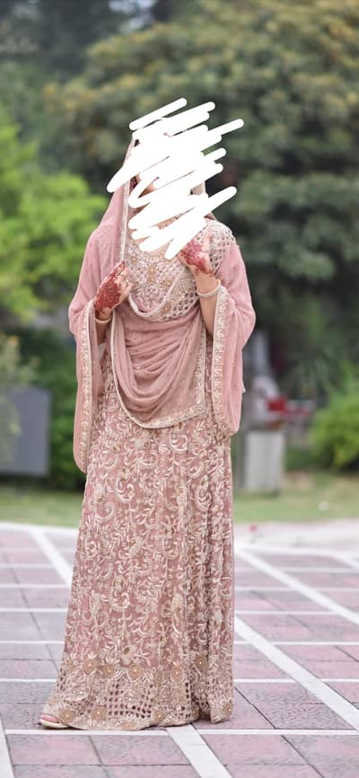 Walima Maxi