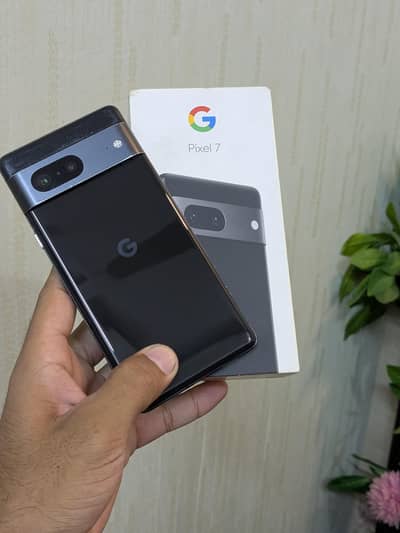 Google Pixel 7 |Official PTA | With Box